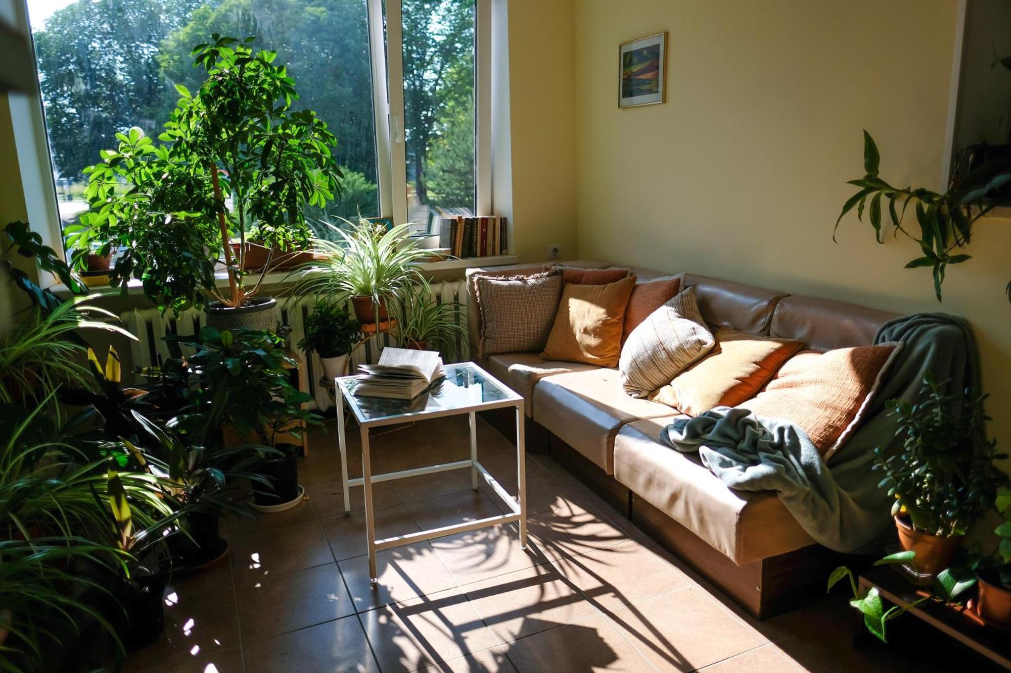 Hostel Nele Йигві Екстер'єр фото